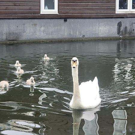 Lovely Canal Boat In Little Venice For Family & Friends London Ngoại thất bức ảnh