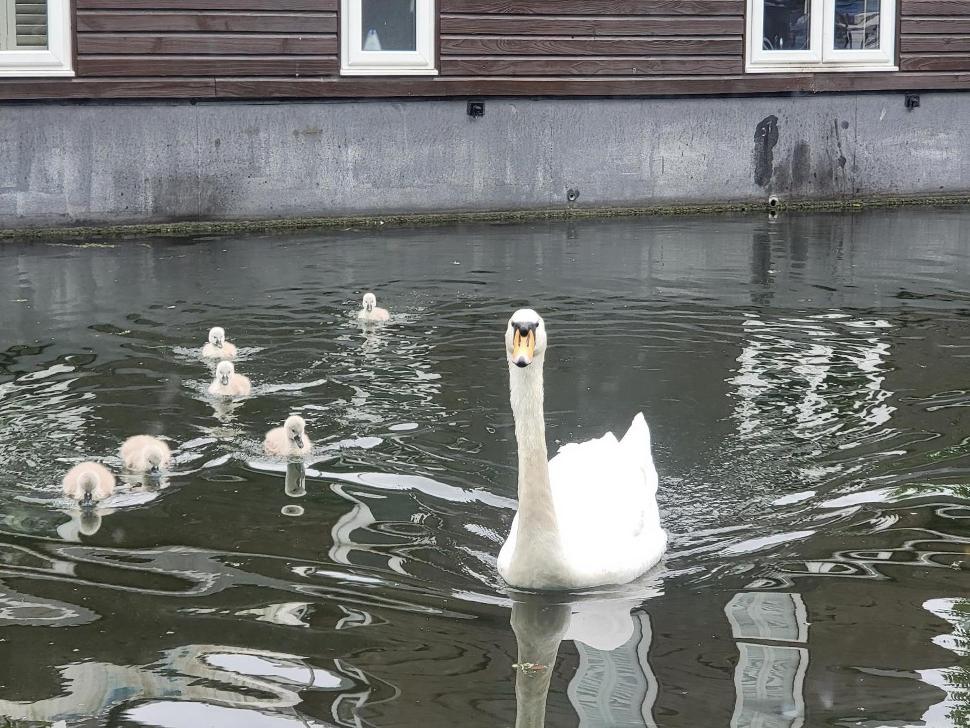 Lovely Canal Boat In Little Venice For Family & Friends London Ngoại thất bức ảnh